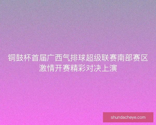 铜鼓杯首届广西气排球超级联赛南部赛区激情开赛精彩对决上演