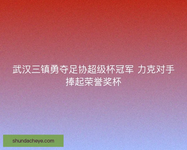 武汉三镇勇夺足协超级杯冠军 力克对手捧起荣誉奖杯